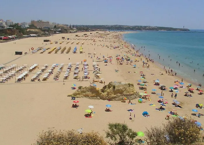 Rocha Gardens * Портиман